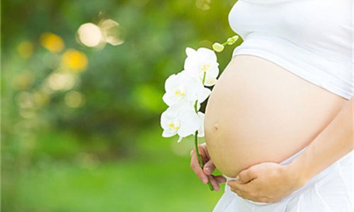 孕妇晚期可以吃绿豆网 - 孕妇晚期可以吃绿豆糕吗,孕妇晚期可以吃绿豆糖水吗