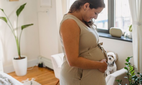 孕妇晚期可以吃绿豆和薏米嘛-孕妇晚期可以吃绿豆网 - 孕妇晚期可以吃绿豆糕吗,孕妇晚期可以吃绿豆糖水吗