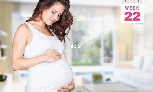 孕妇晚期可以吃绿豆和薏米嘛-孕妇晚期可以吃绿豆网 - 孕妇晚期可以吃绿豆糕吗,孕妇晚期可以吃绿豆糖水吗